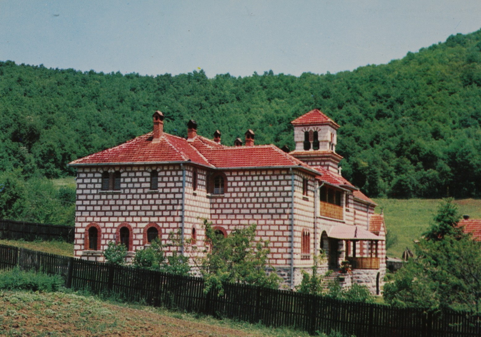 Ćelije