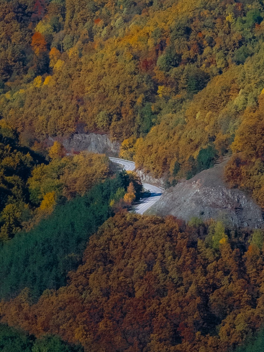Put, Podbukovi