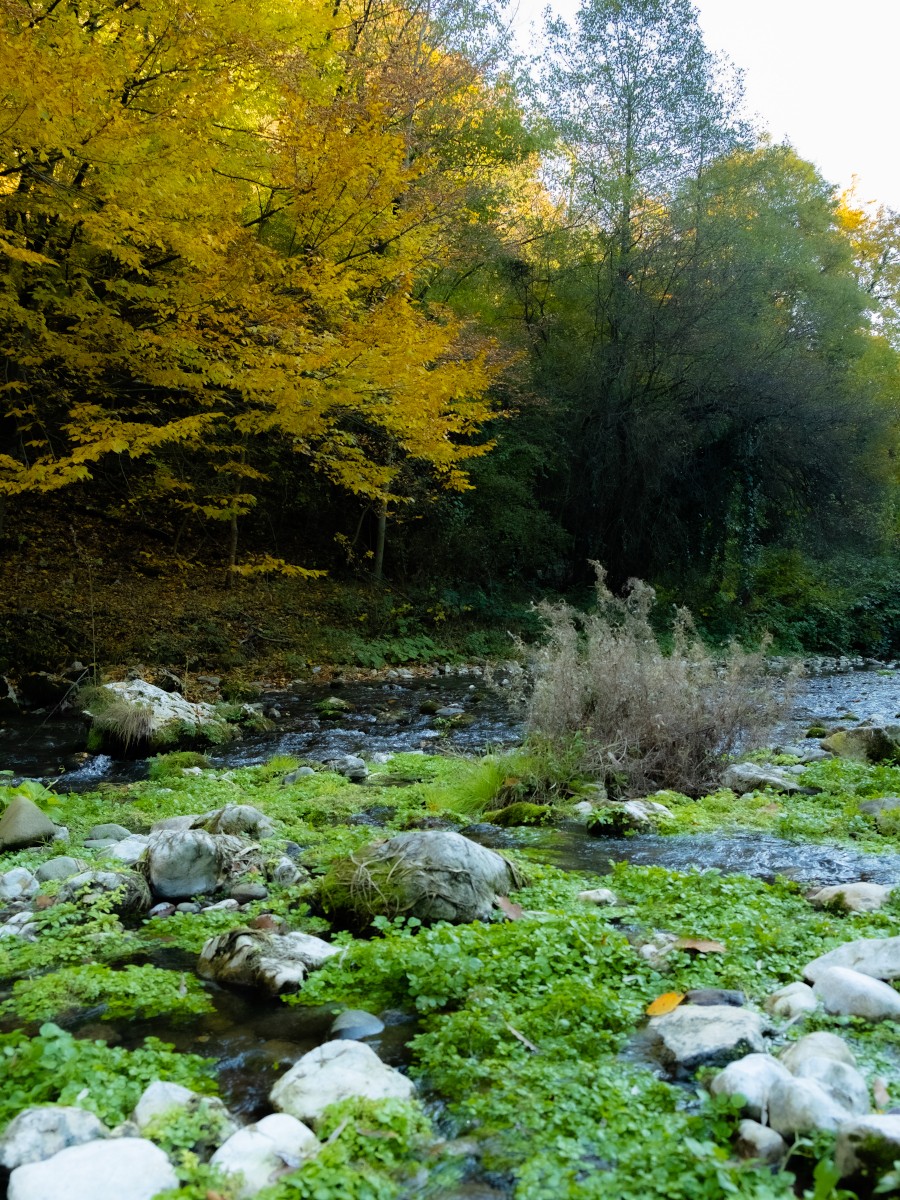 Gradac – Part III