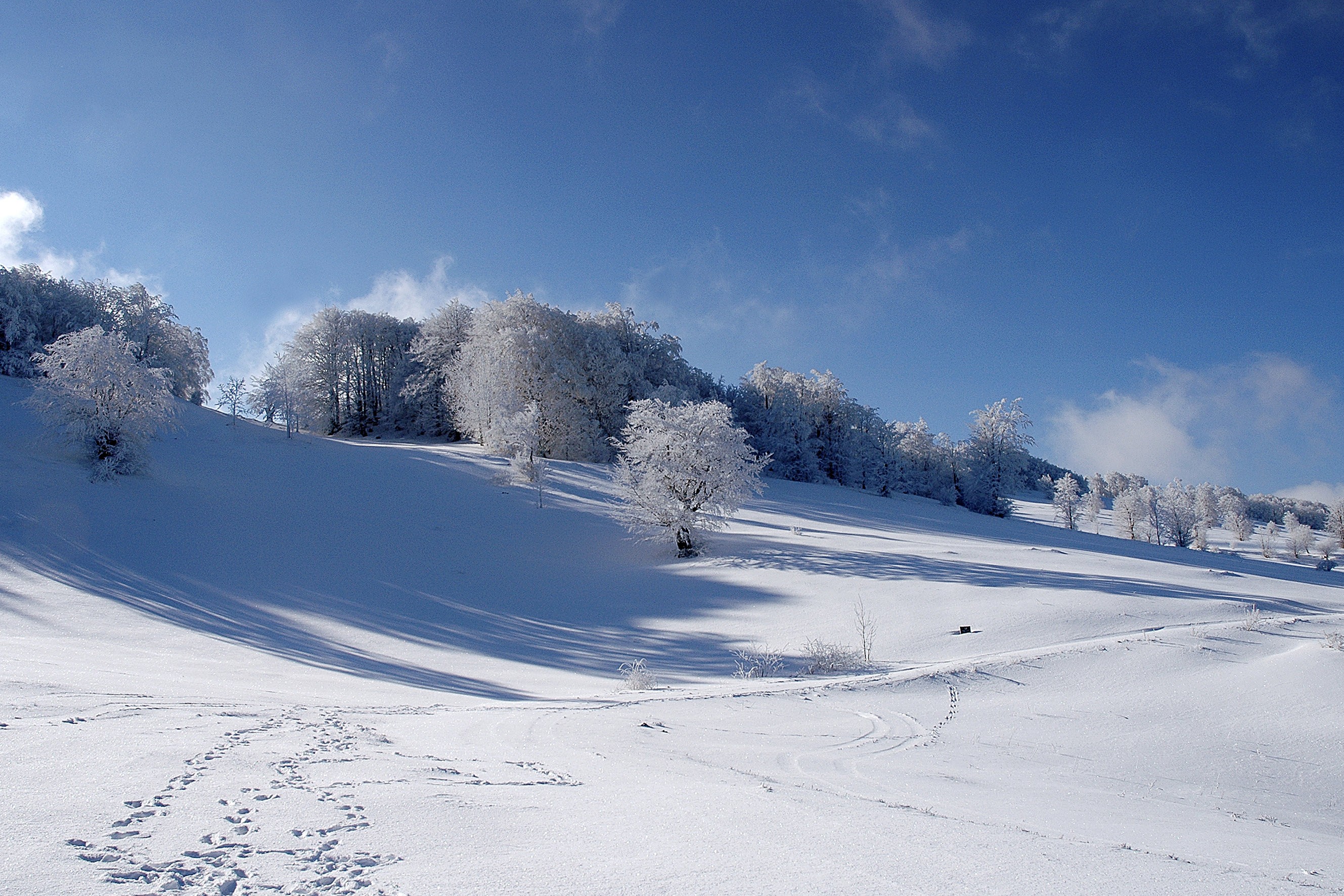 Zima, Povlen