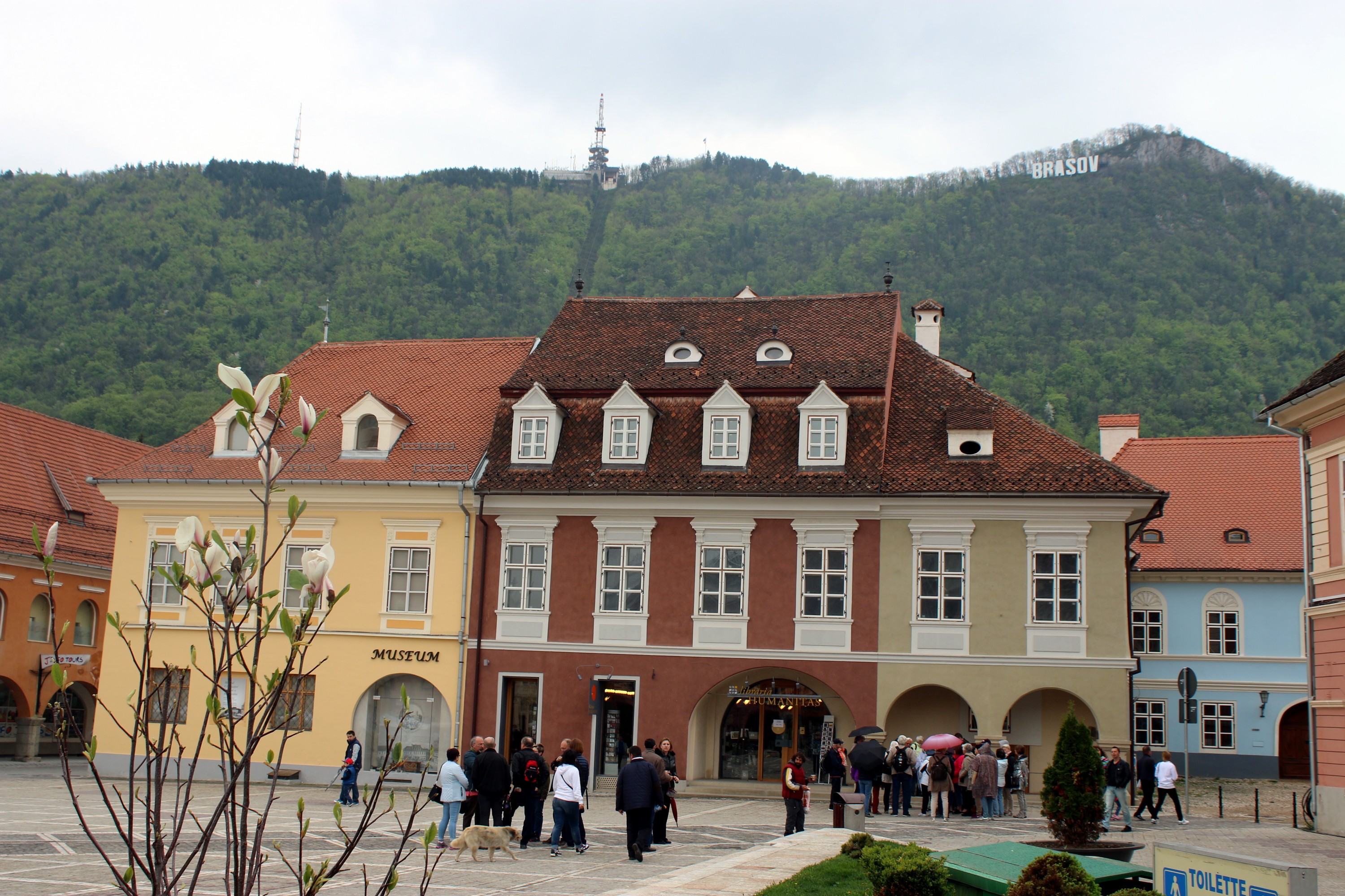 Brašov