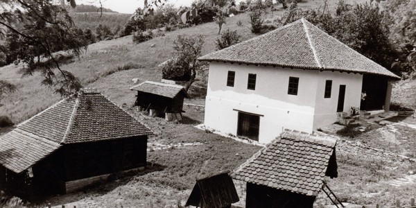 Struganik