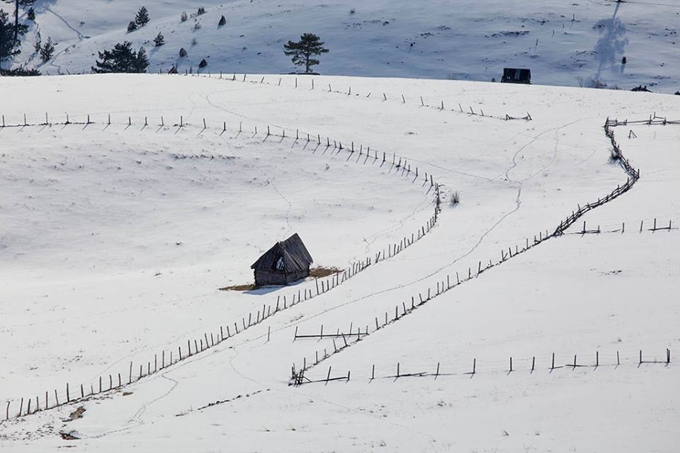 Zlatibor