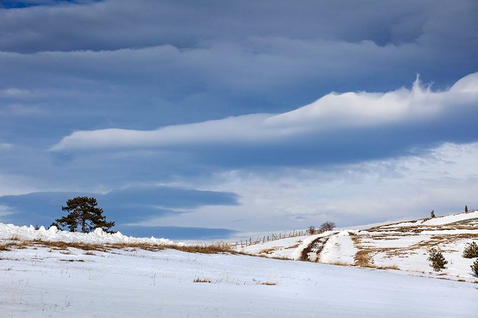 Zlatibor