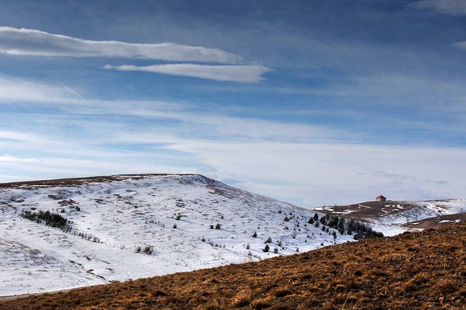 Zlatibor