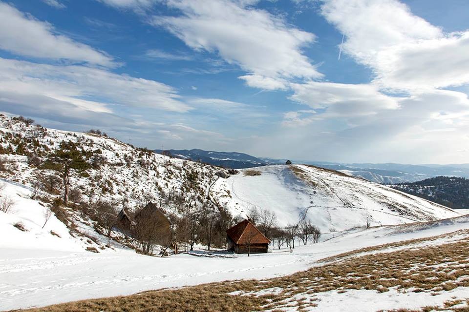 Zlatibor