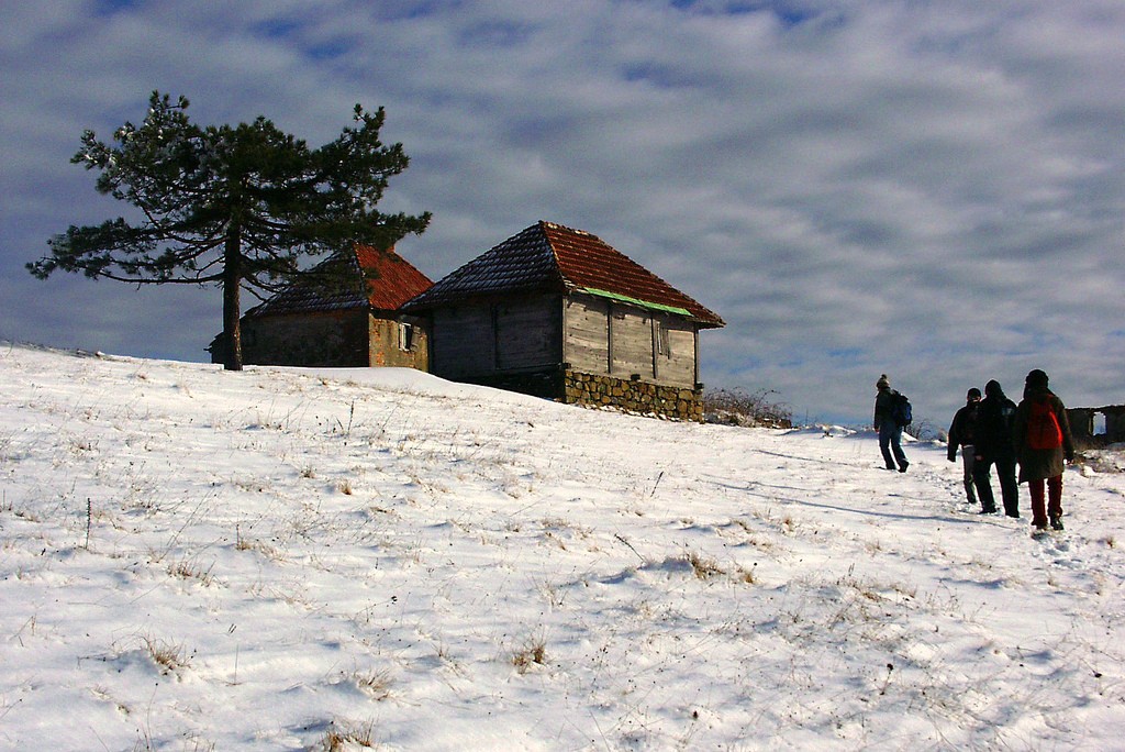 Divčibare