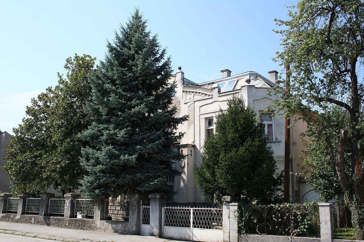 Vila Tucović