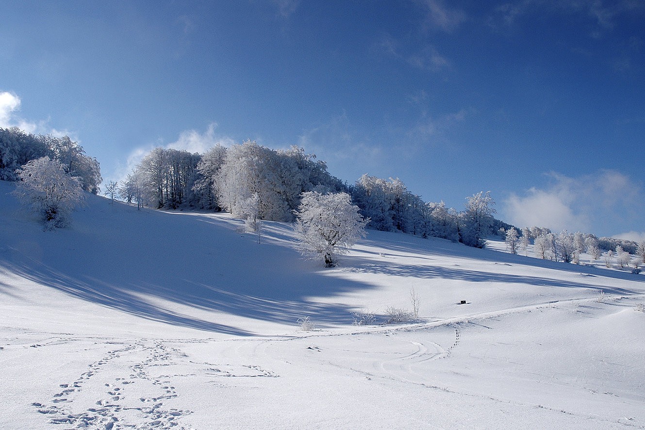 Povlen