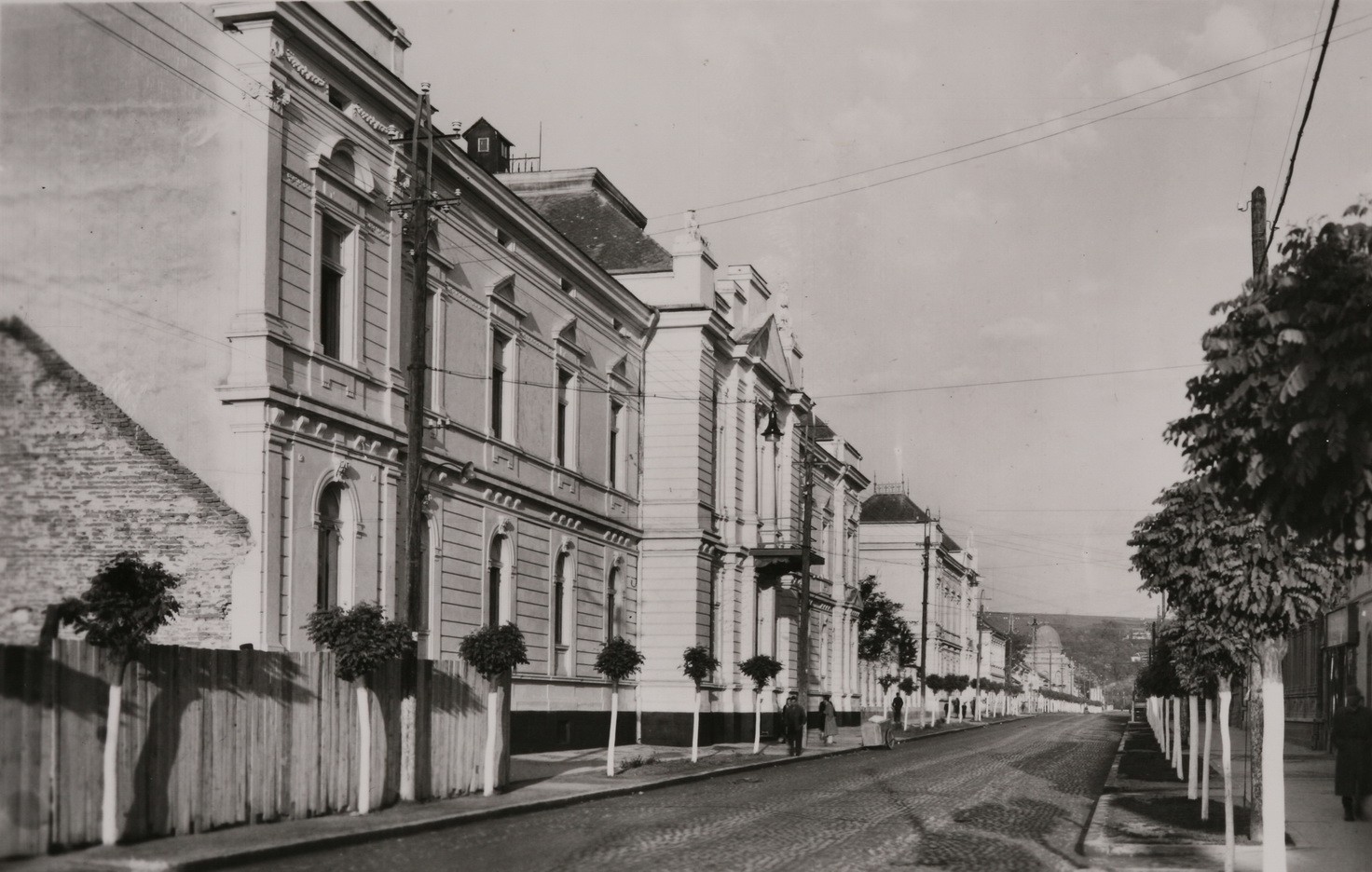 Karađorđeva
