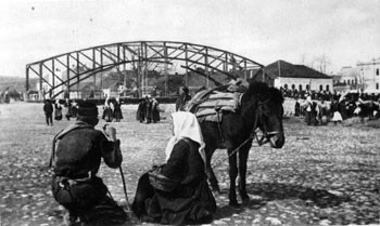 Gvozdeni most na Kolubari
